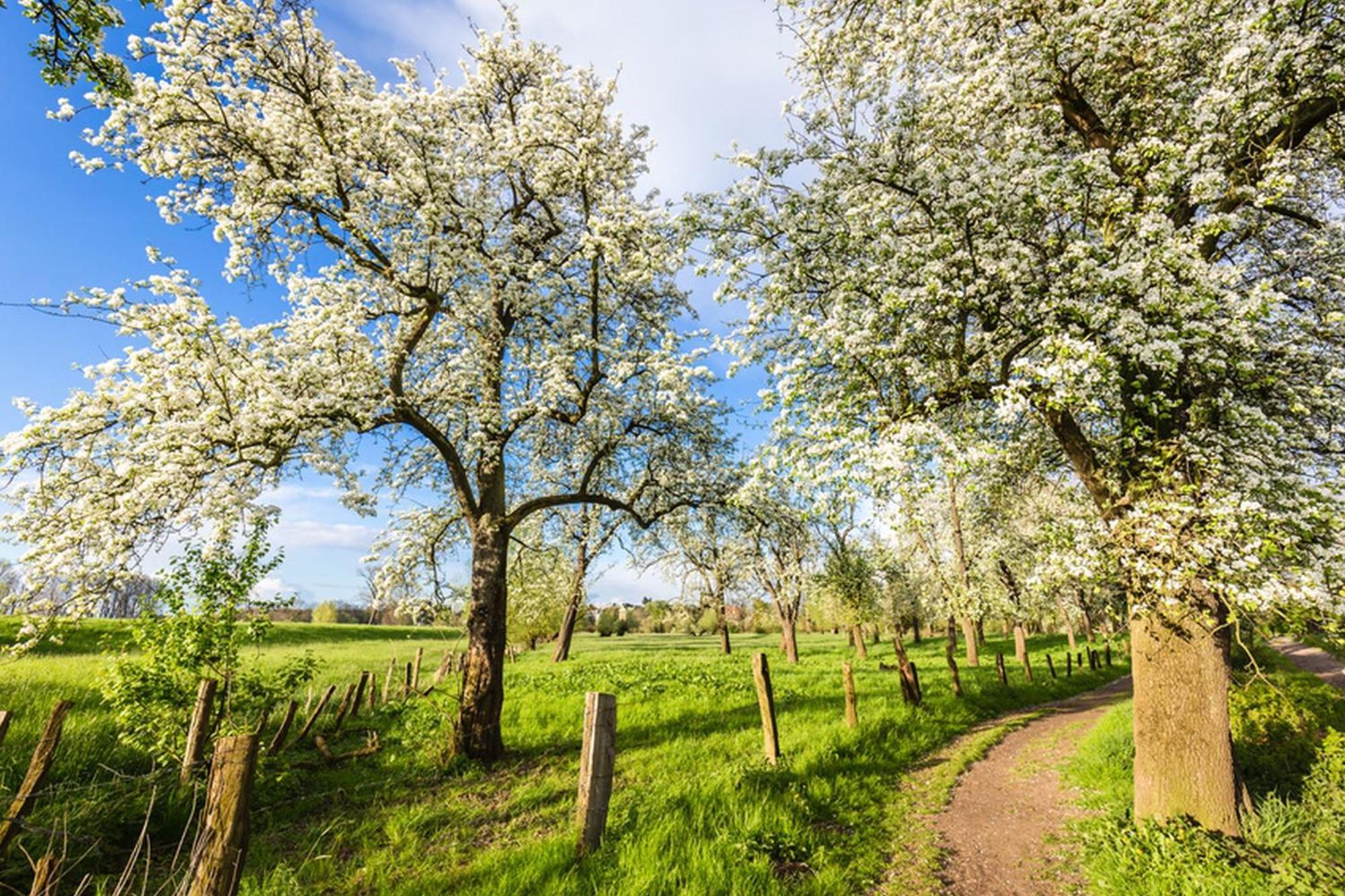 Eifelferienwohnungen "Familie Saxler" Bereborn Exteriér fotografie
